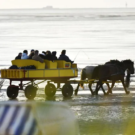 Апартаменты Strandhochhaus Shb6 *